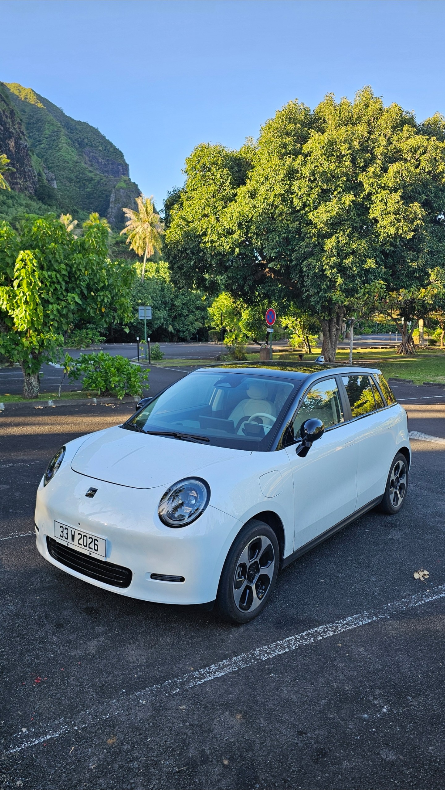 Voiture électrique JAC E30X à Moorea
